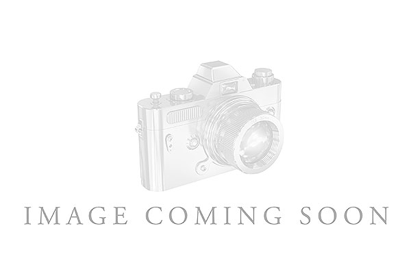 F320-77660: LDS DIA WED RG 1.33 TW (7 PEARS)